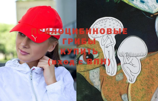молекула духа Баксан