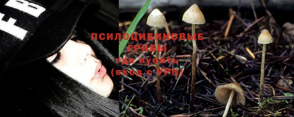 ГАЛЛЮЦИНОГЕННЫЕ ГРИБЫ Балахна