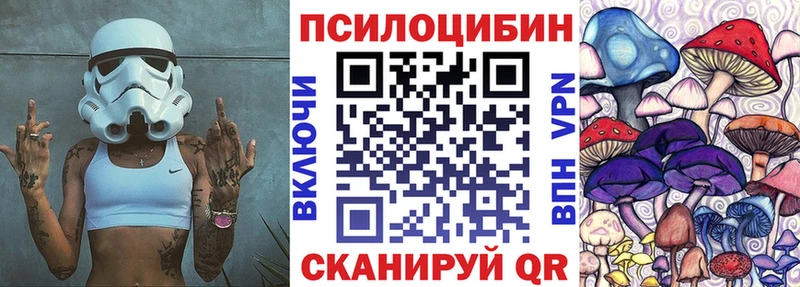где найти   Кунгур  Псилоцибиновые грибы Psilocybine cubensis 