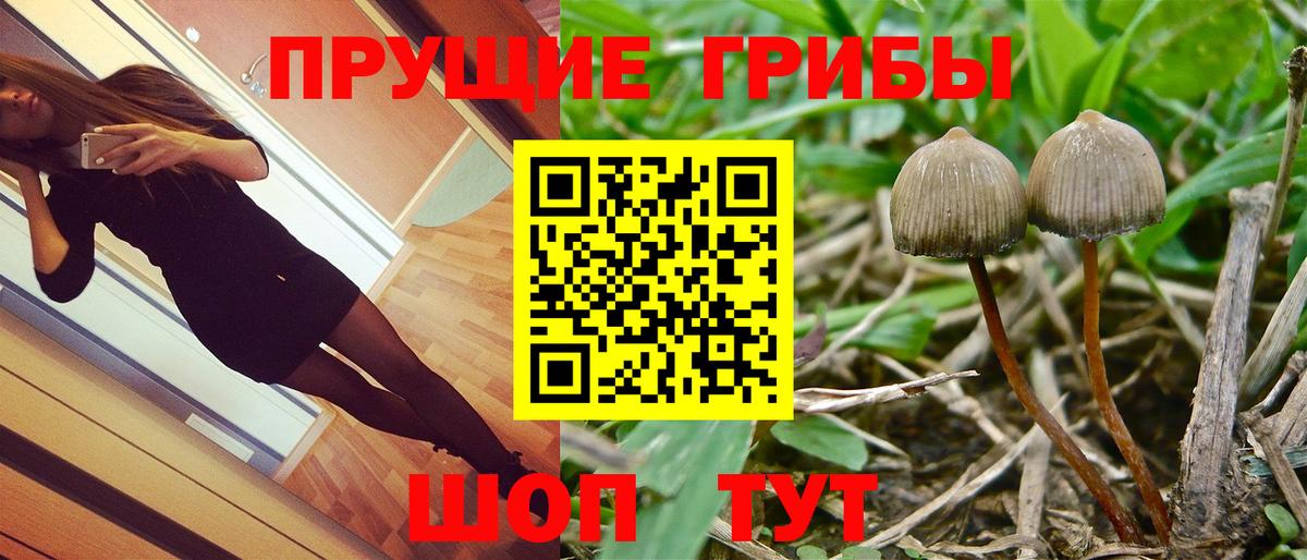 Метадон Кунгур