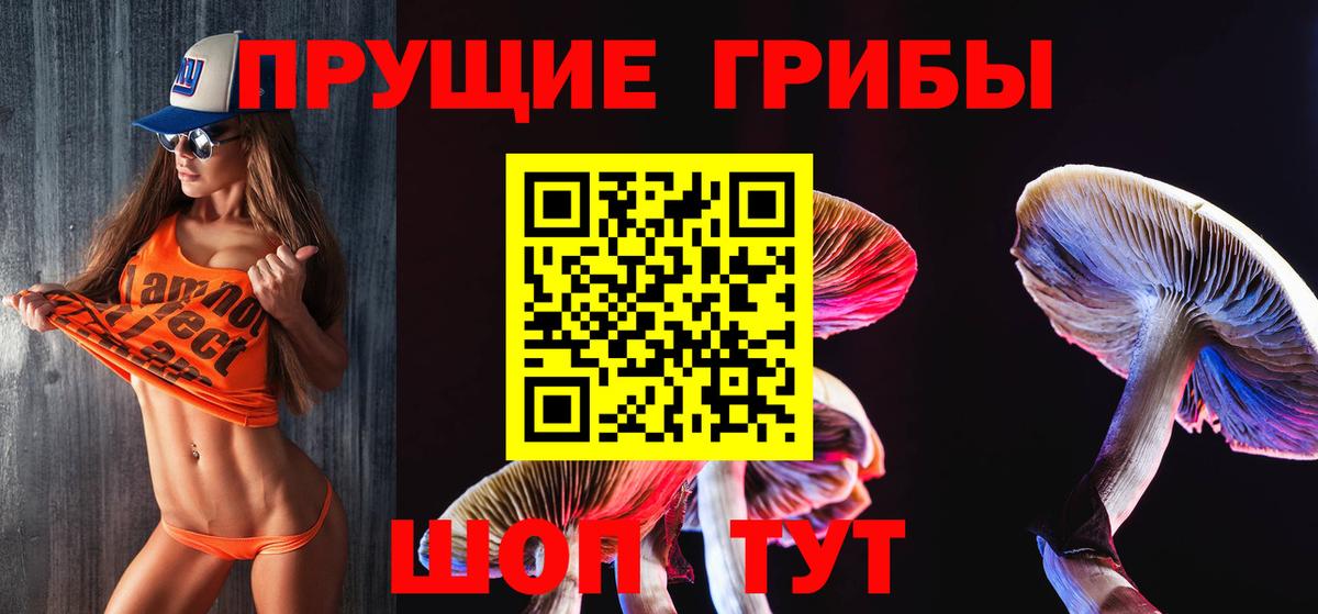 Галлюциногенные грибы ЛСД Кунгур