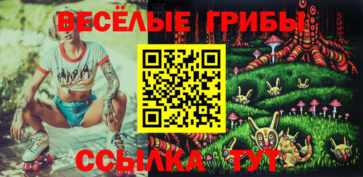 Кунгур  Галлюциногенные грибы мухоморы  Вход с VPN  Псилоцибиновые грибы Psilocybe 